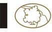 A picture containing diagram

Description automatically generated